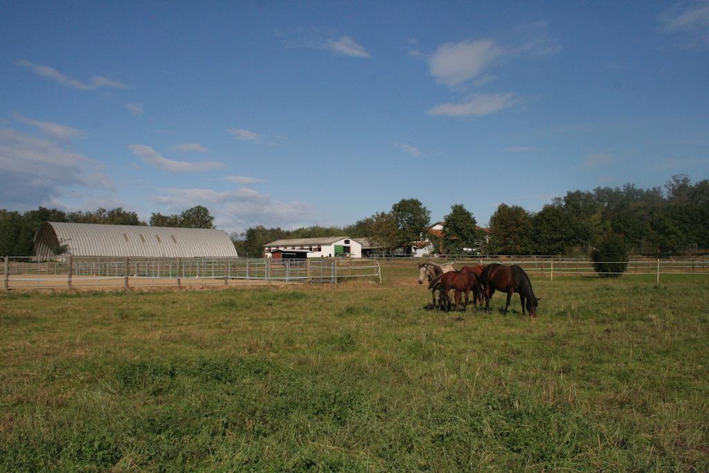 Fano's Farm